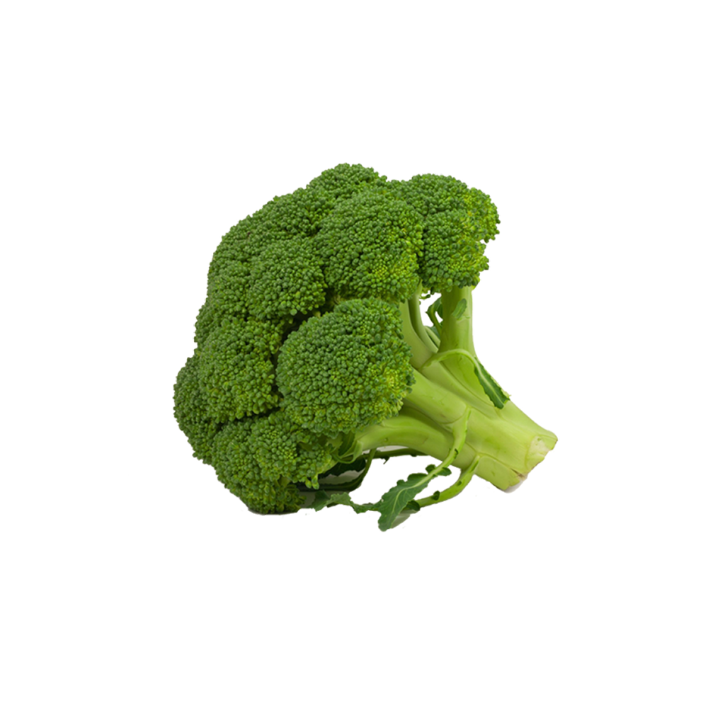 Biotic Broccoli