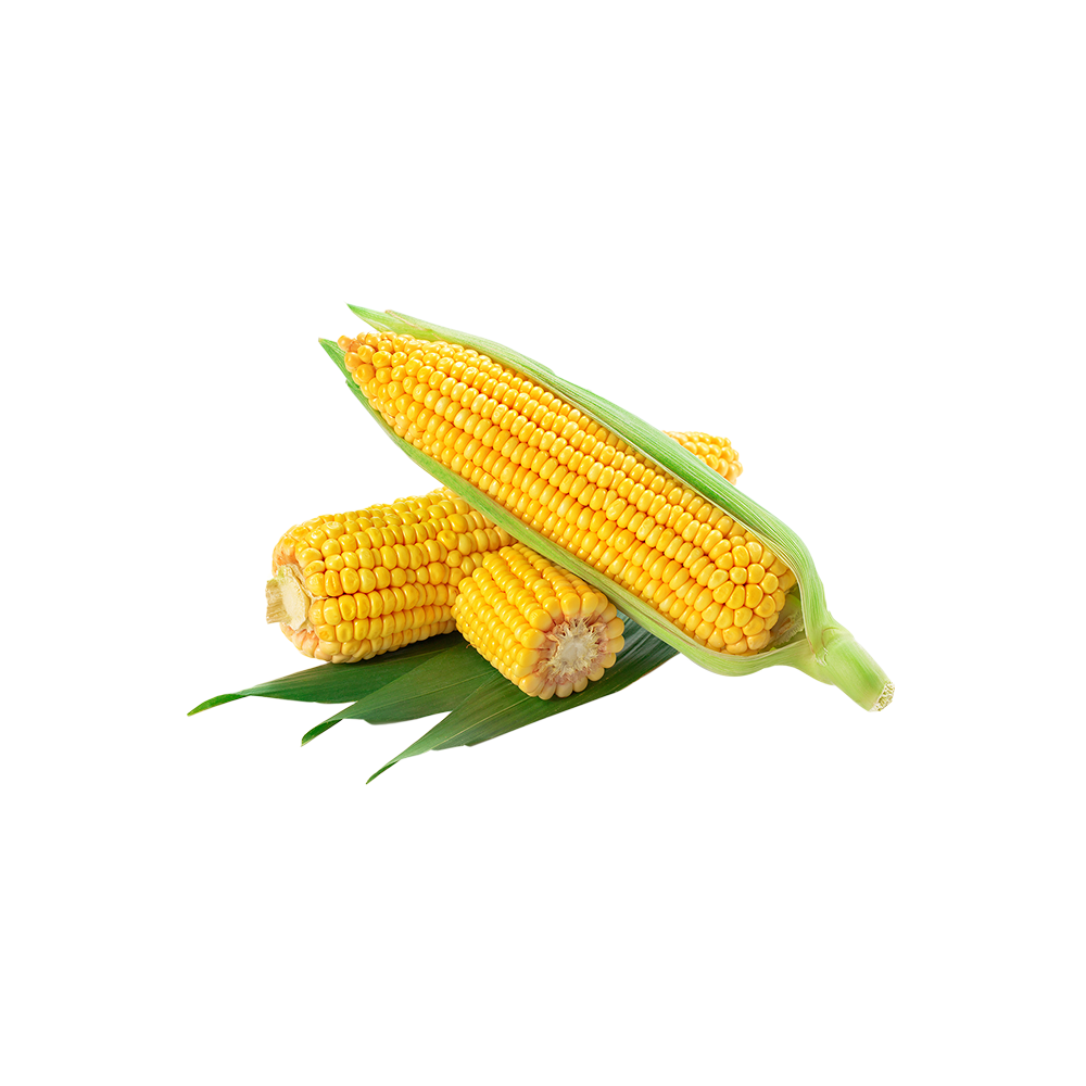 Sweet Corn