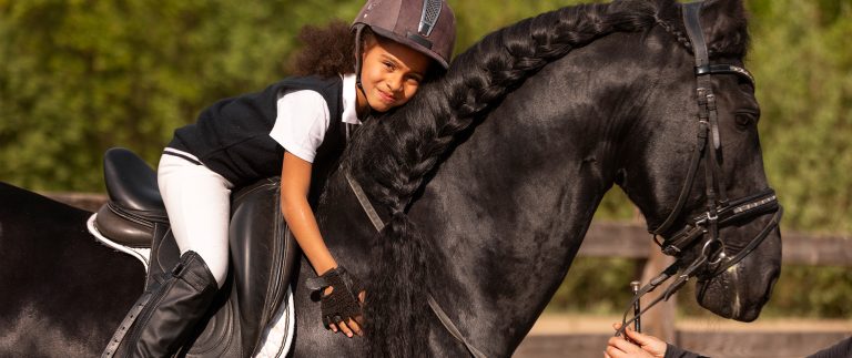 Importance of Groundwork in Horse Riding