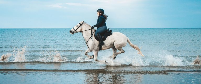 How to Make Strong Bond with Your Horse