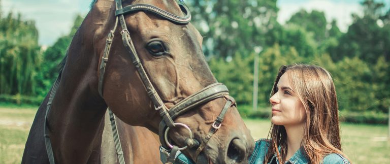 Why Horse Riding is a Great Activity?