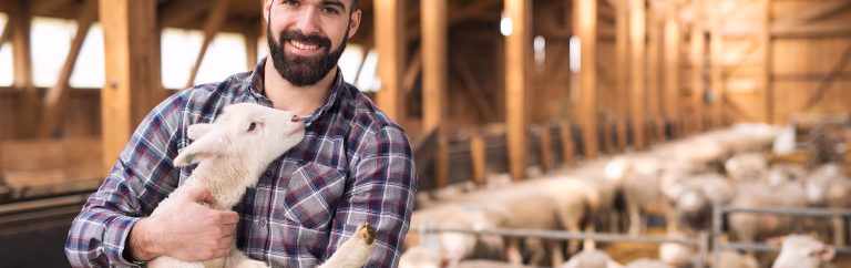 Working in dairy farming now