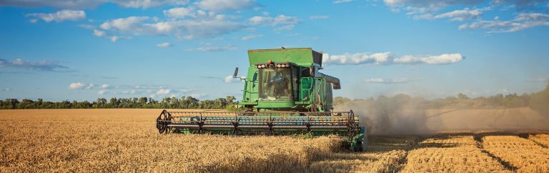 The calming effect of the fields