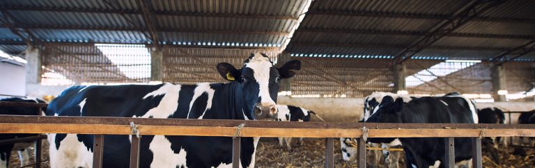 Reap and enjoy in your products