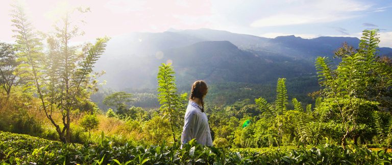 The best part about makeup is brush and its types