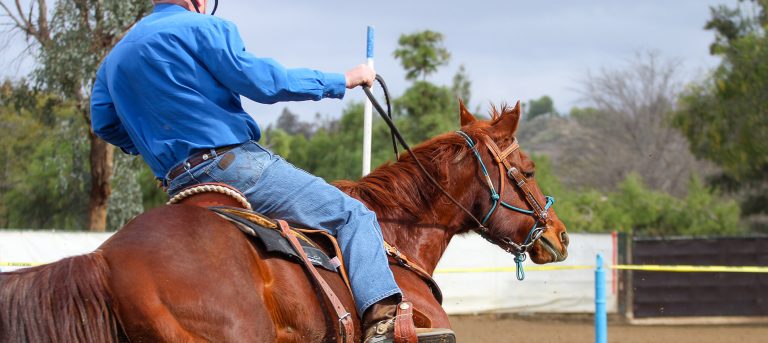 Smashing Podcast Episode With Trine Falbe Martin