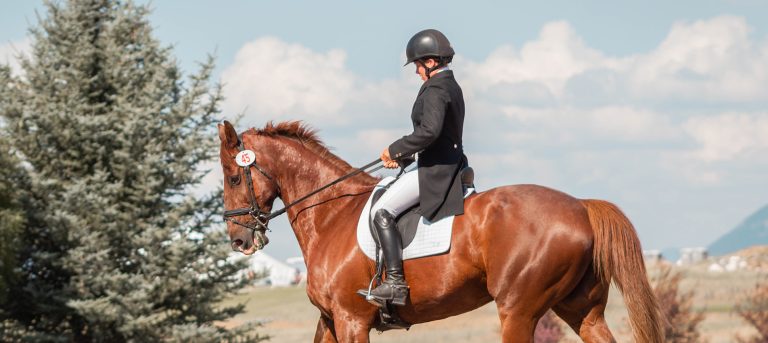 Use These Exercises to Build Trust with Your Horse