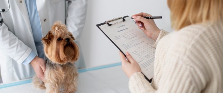The Best Preventive Vaccination For Puppies