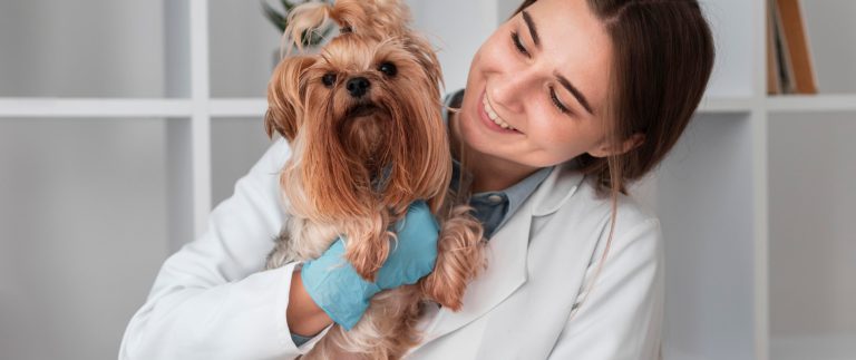 Tips To Build The Perfect Habitat For Your Small Pet