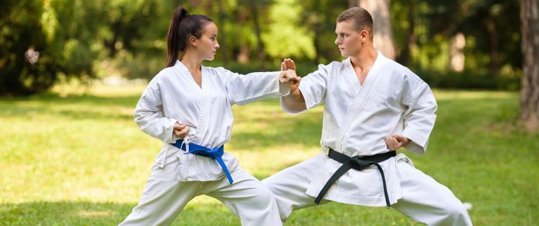 Karate belt system and acknowledgements
