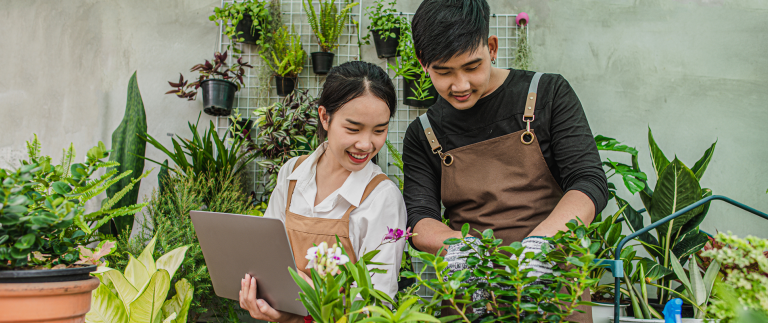 The importants of Water for Your Garden