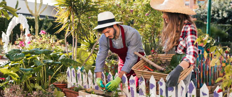 Our guide to the art of pruning for gardeners