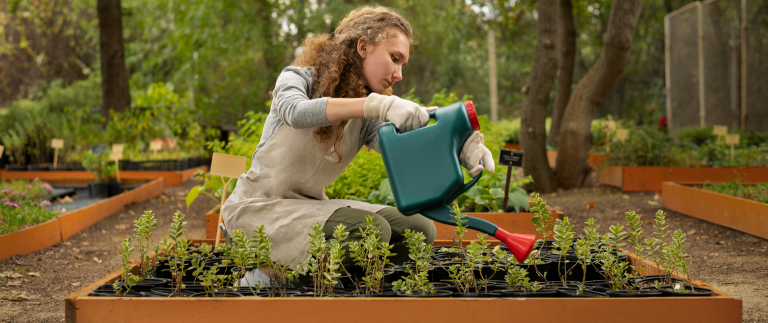 Beginner’s guide to starting a garden